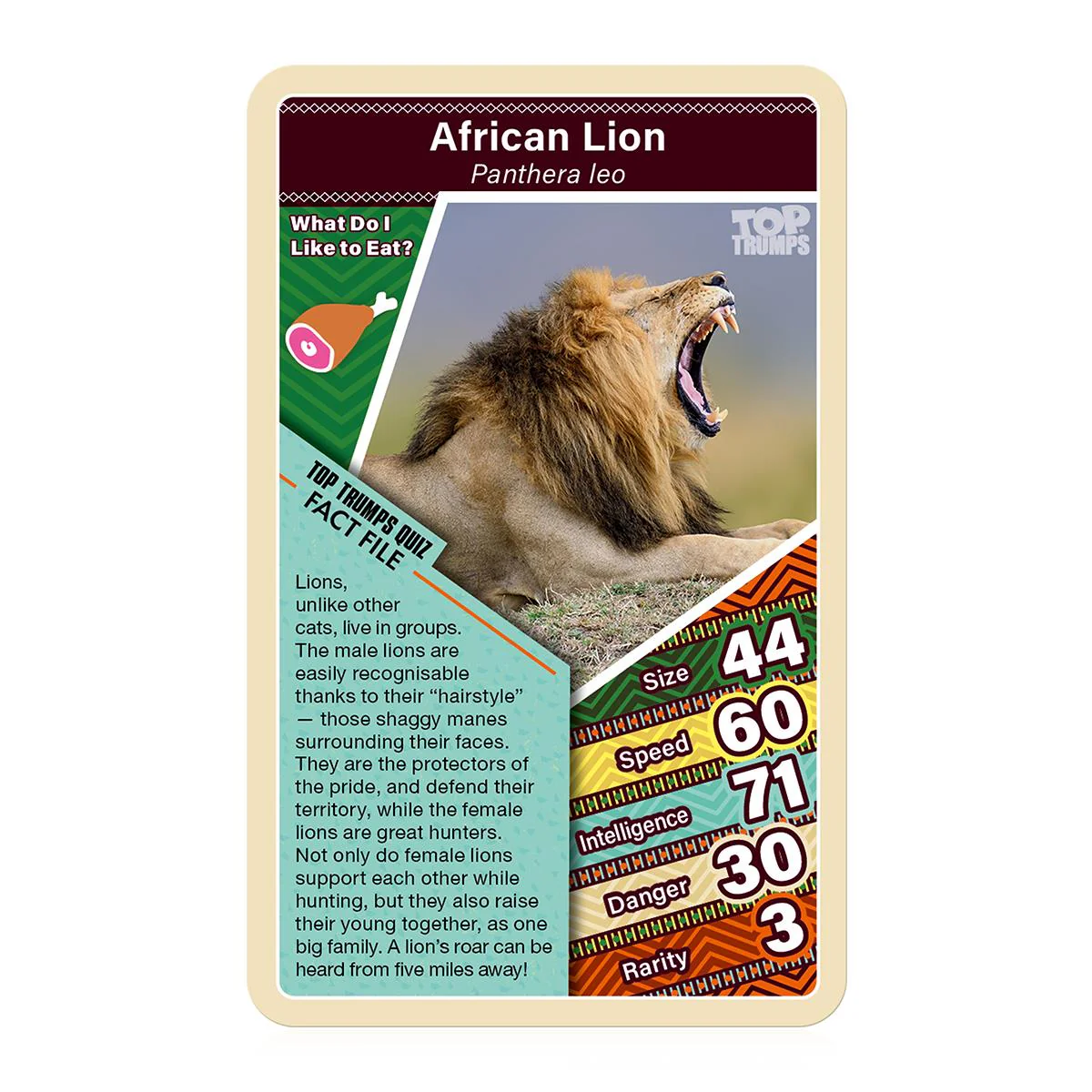 African Wildlife Top Trumps Card Game - Image 2