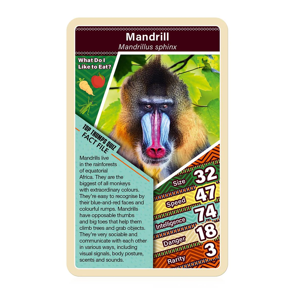 African Wildlife Top Trumps Card Game - Image 3