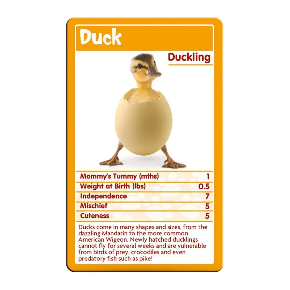 Baby Animals Top Trumps Card Game - Image 3