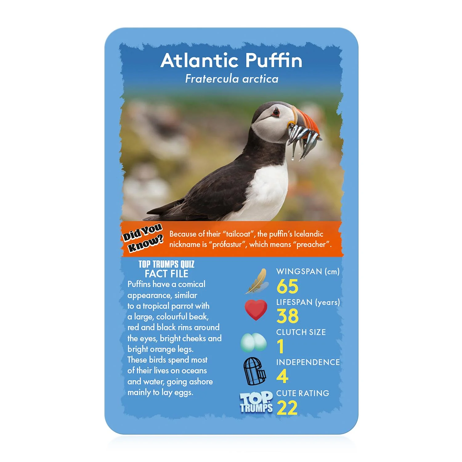 Birds Top Trumps Card Game - Image 2