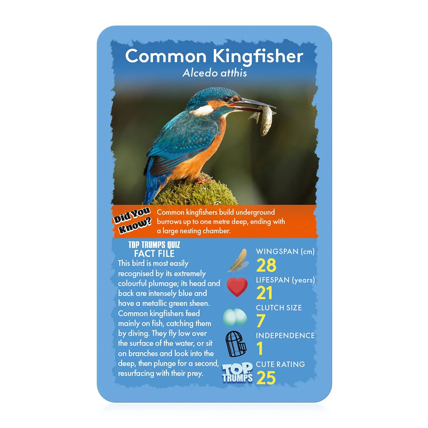 Birds Top Trumps Card Game - Image 3