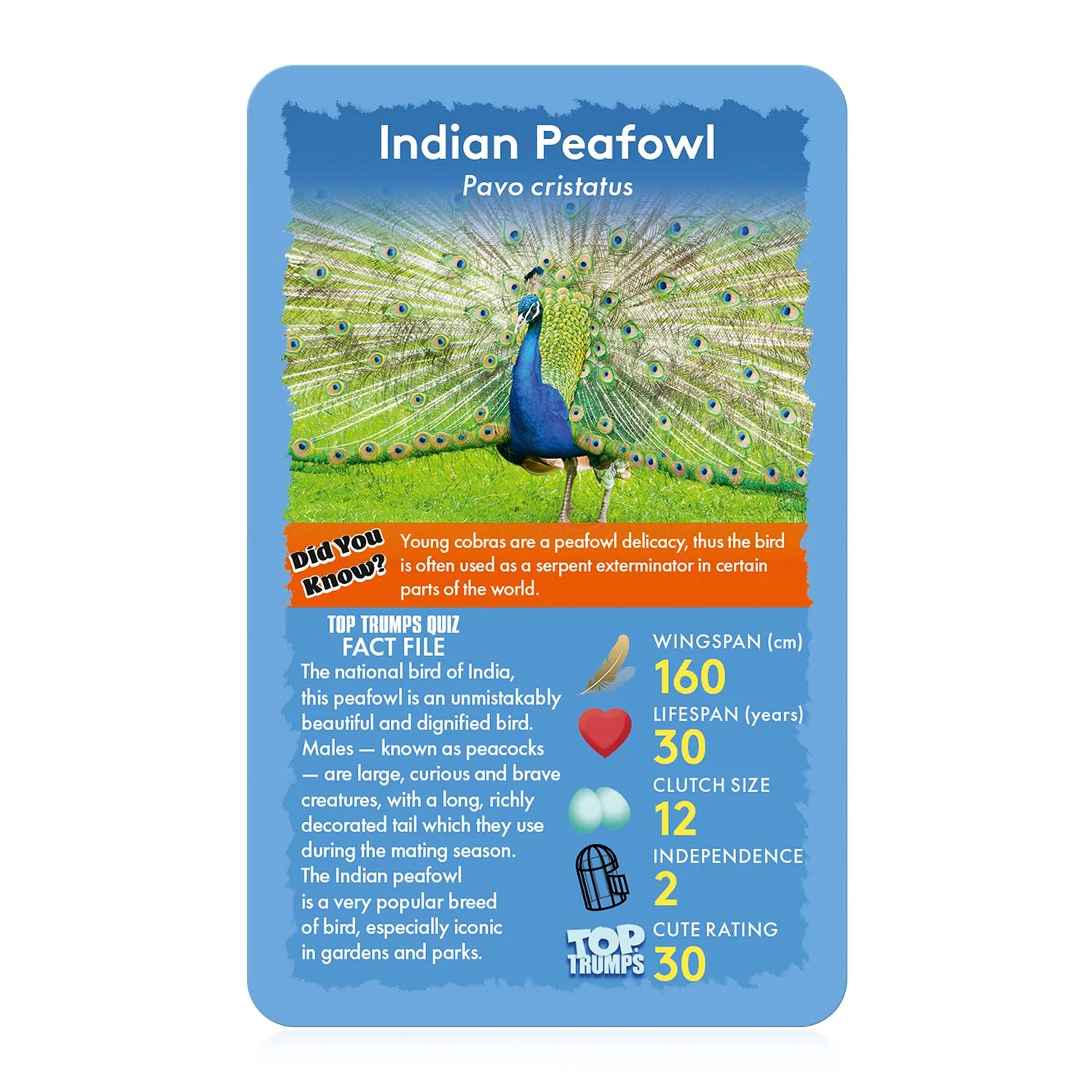 Birds Top Trumps Card Game - Image 4