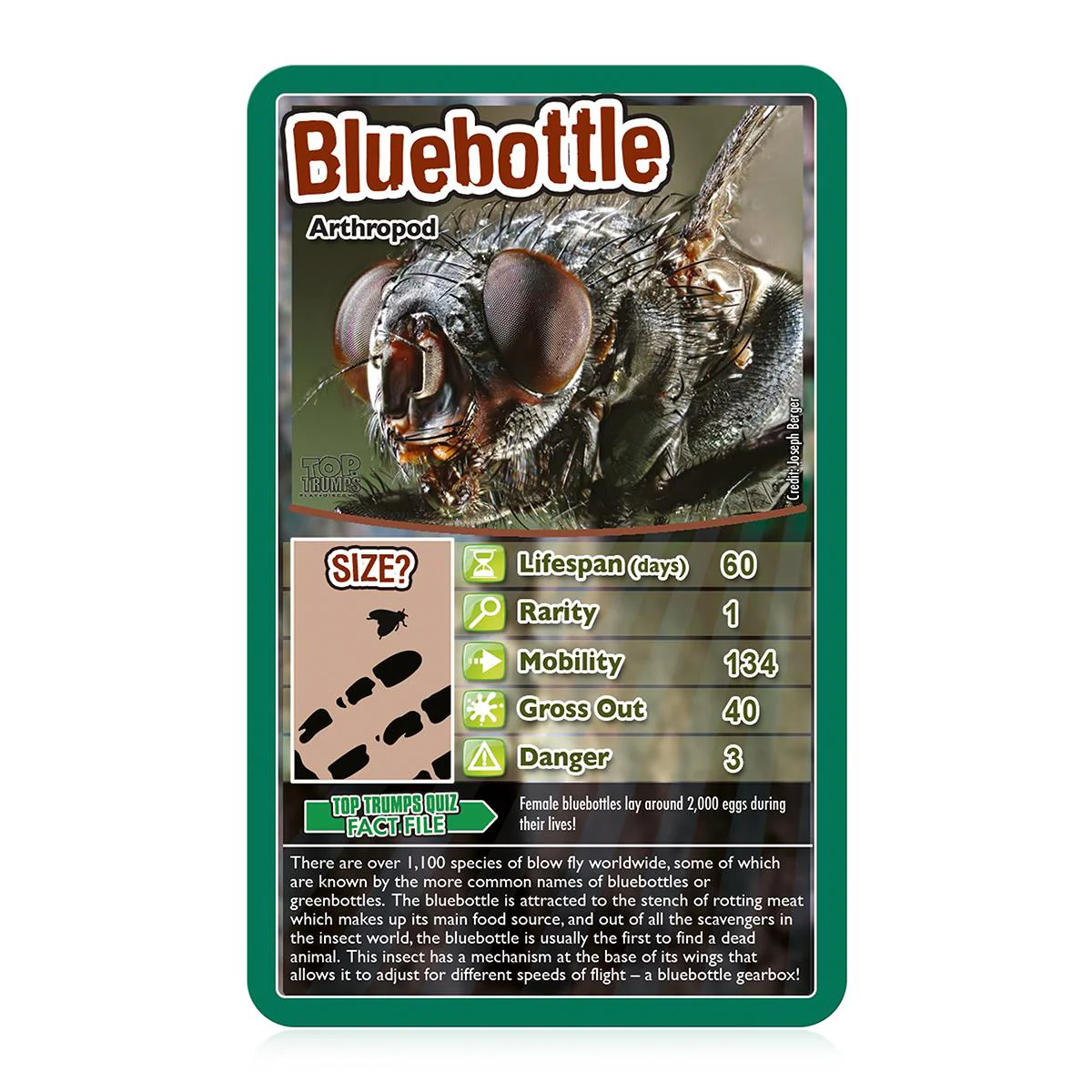Bugs Top Trumps Card Game - Image 2