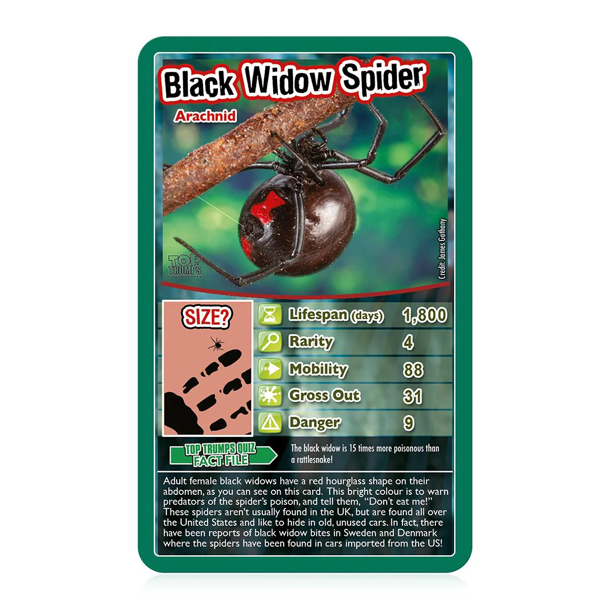 Bugs Top Trumps Card Game - Image 3
