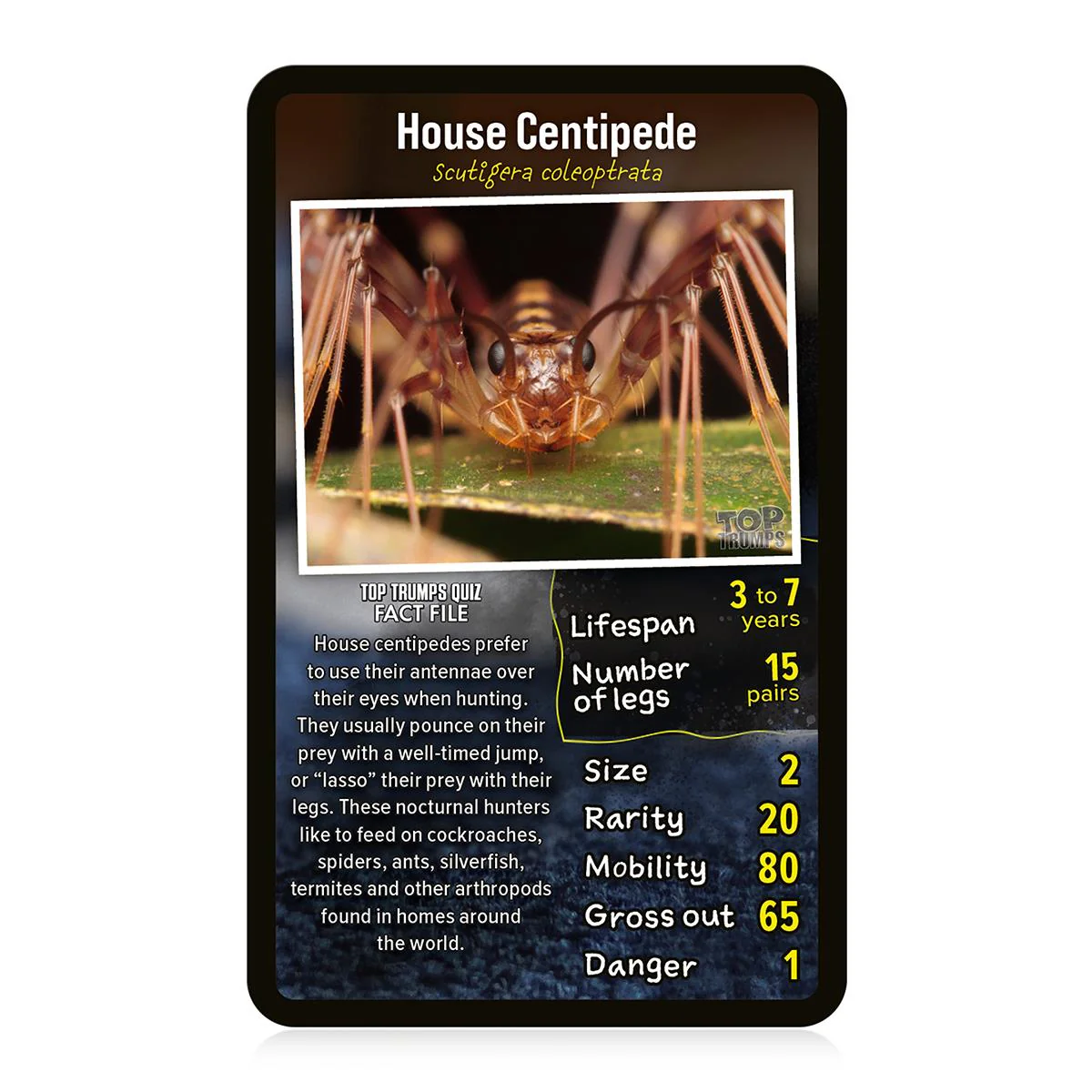 Creepy Crawlies Top Trumps Card Game - Image 2