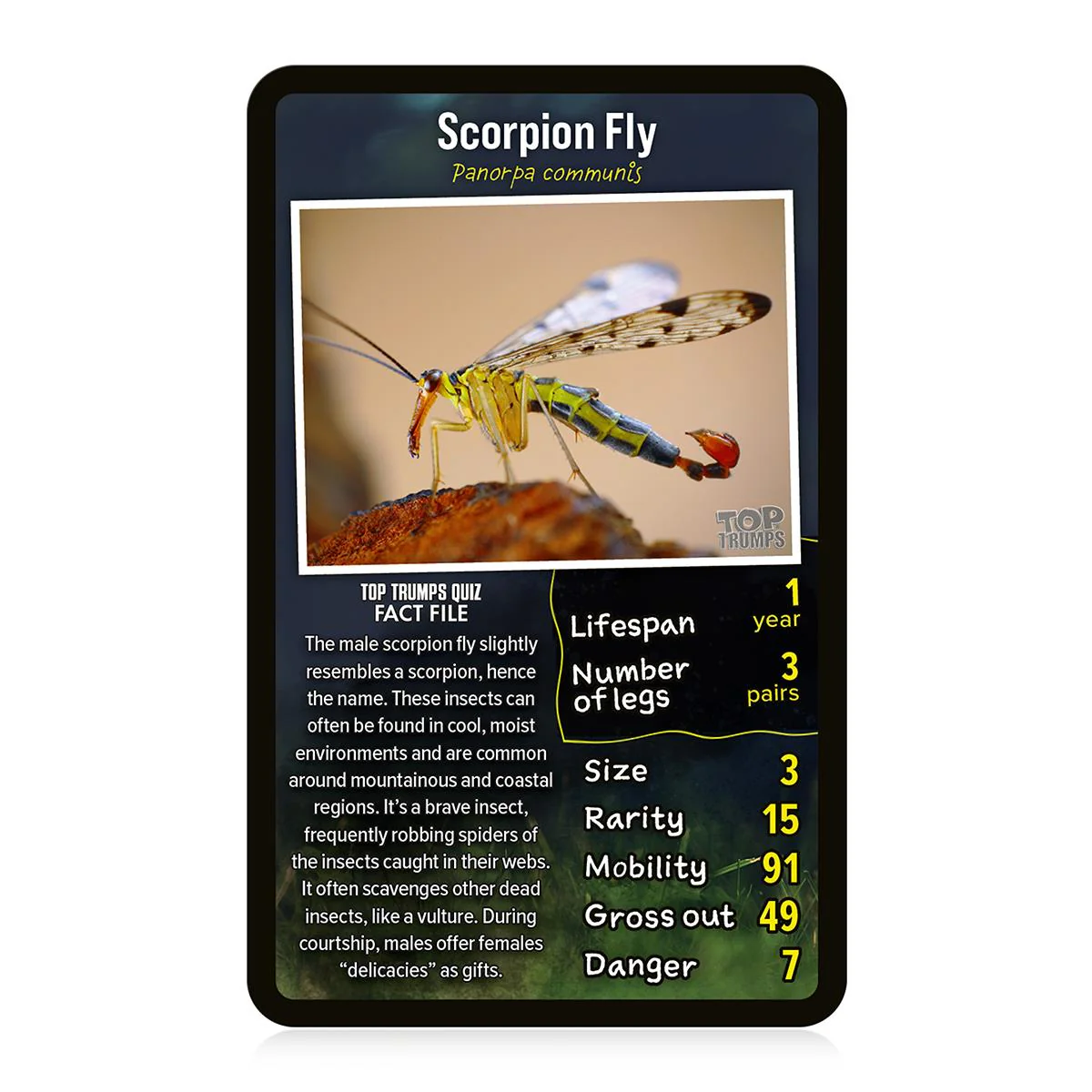 Creepy Crawlies Top Trumps Card Game - Image 4