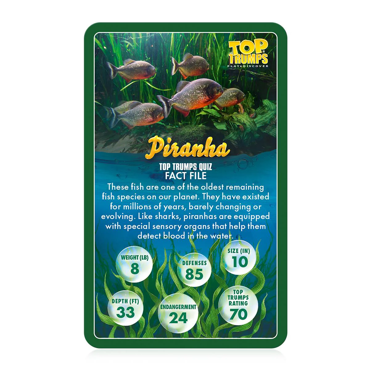 Sealife in Danger Top Trumps Card Game - Image 2