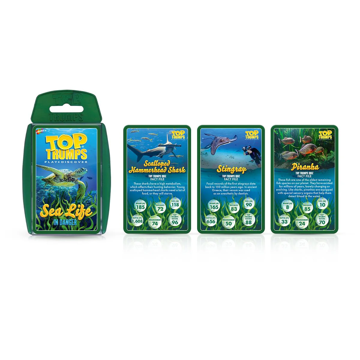 Sealife in Danger Top Trumps Card Game - Image 5