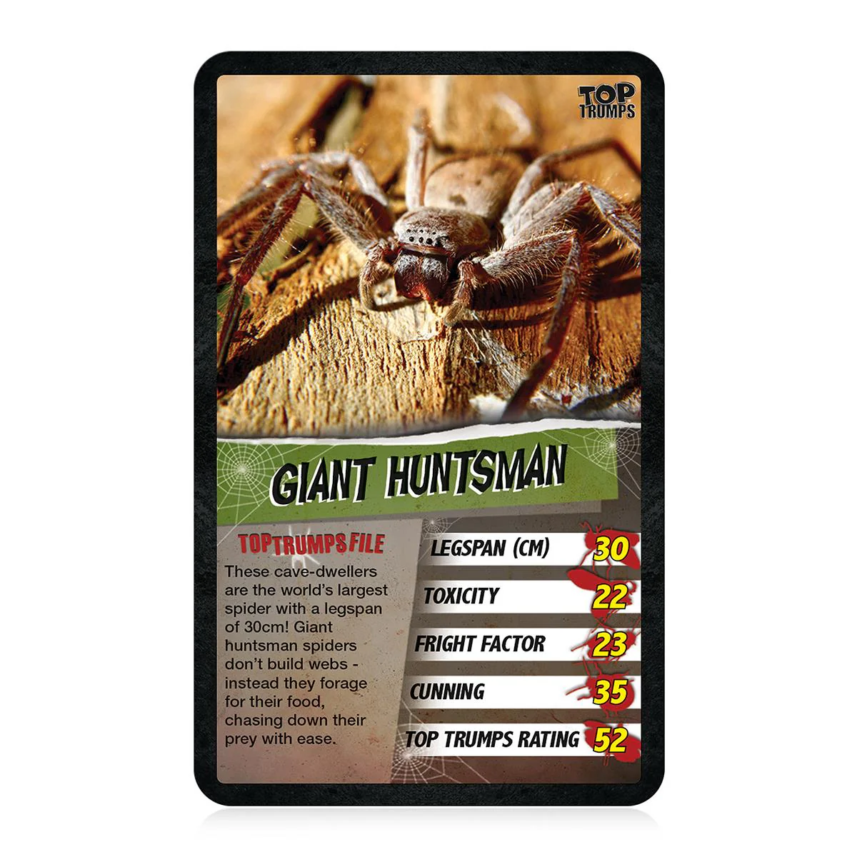 Spiders Top Trumps Card Game - Image 3