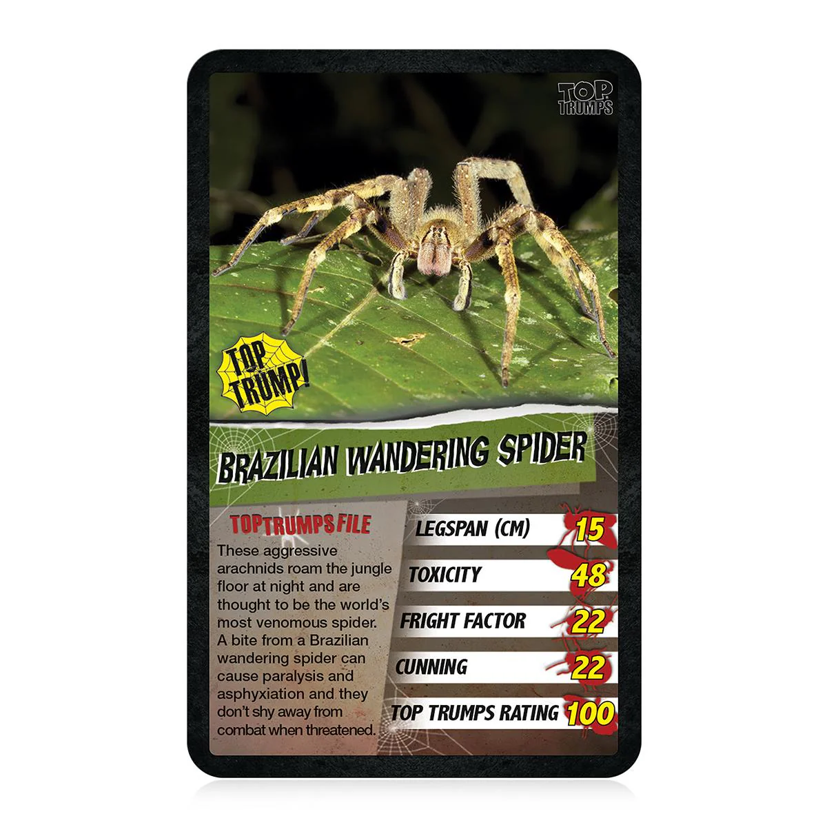 Spiders Top Trumps Card Game - Image 4